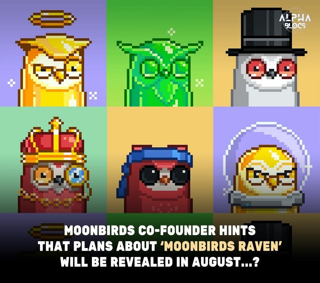  PROOF’s ‘Moonbirds Ravens’ Project To Be Revealed In August?!