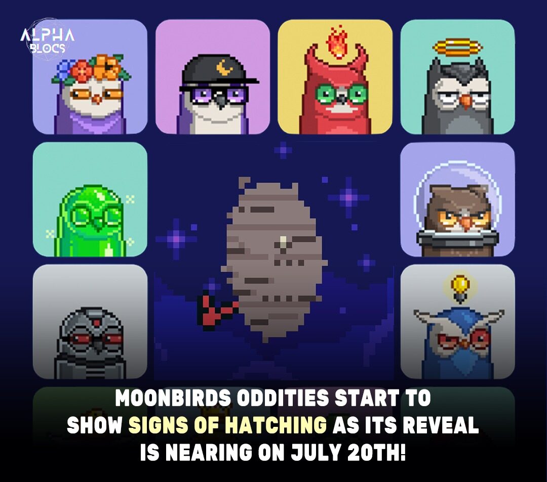  Excitement Builds As Moonbirds Oddities Nears Reveal!