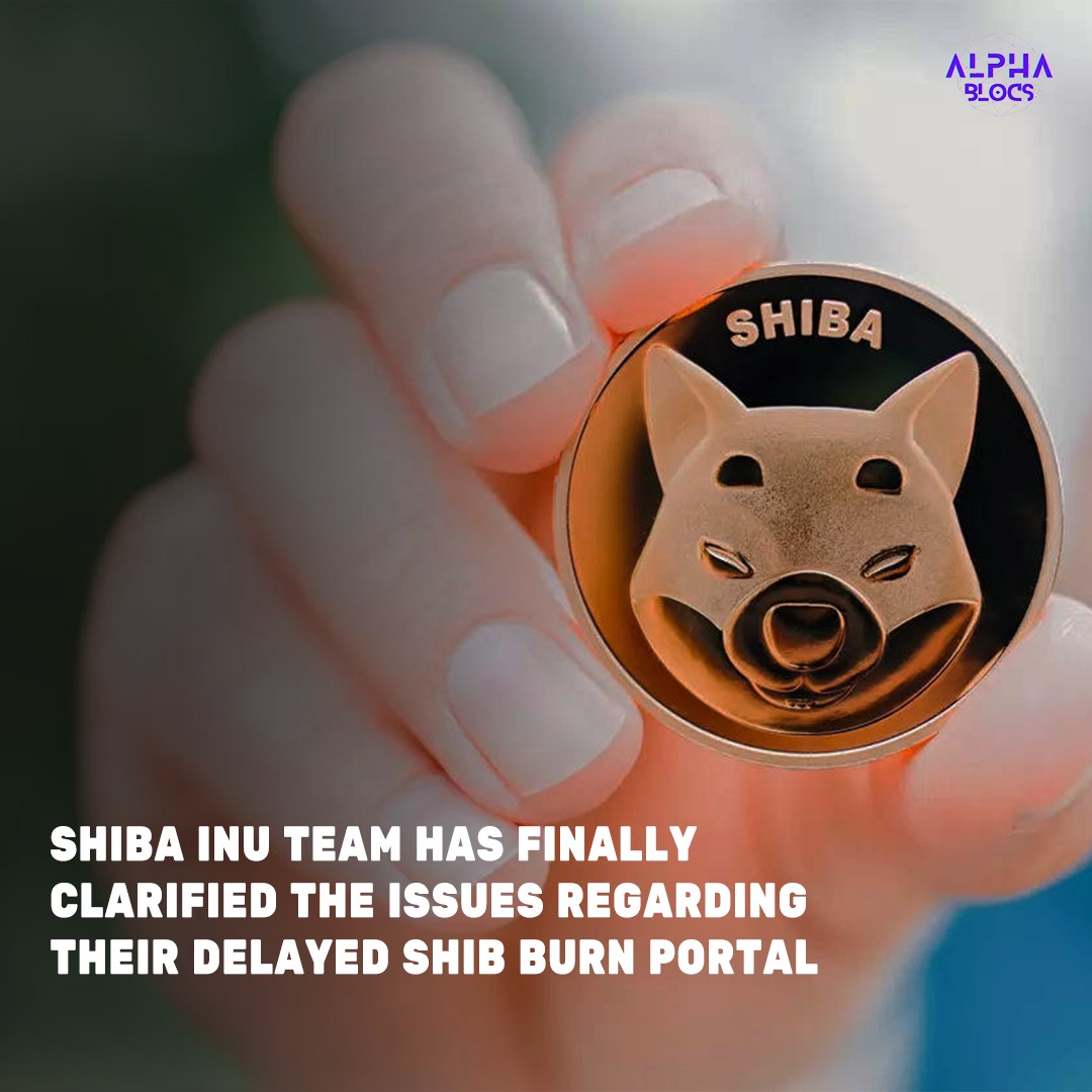  Shiba Inu Coin Team Updates On Burn Portal Issues