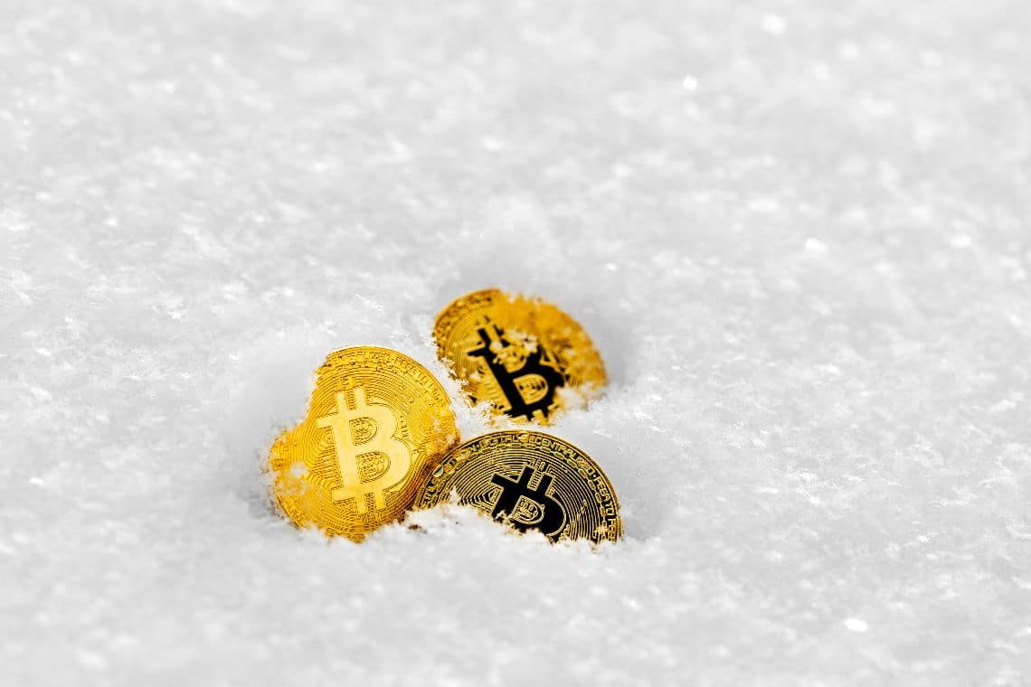  This is How To Keep Calm In Crypto Winter!