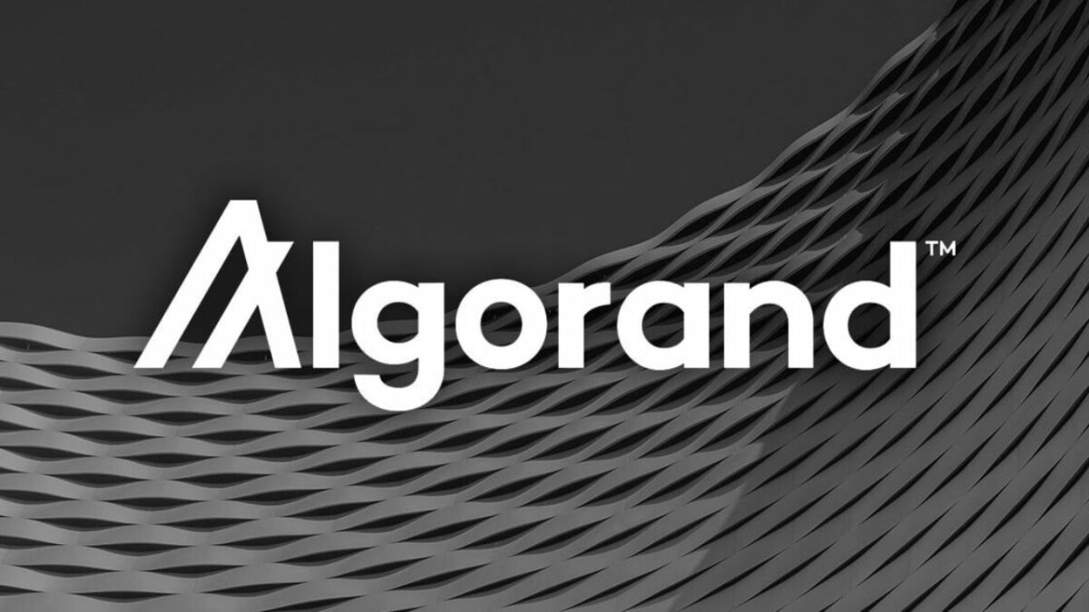 Algorand Holdnaut Exposure