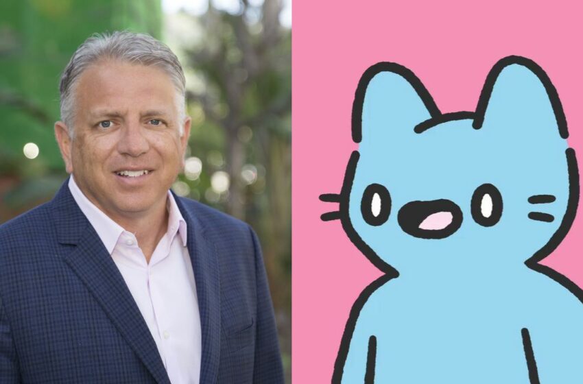 Cool Cats new CEO Stephen Teglas