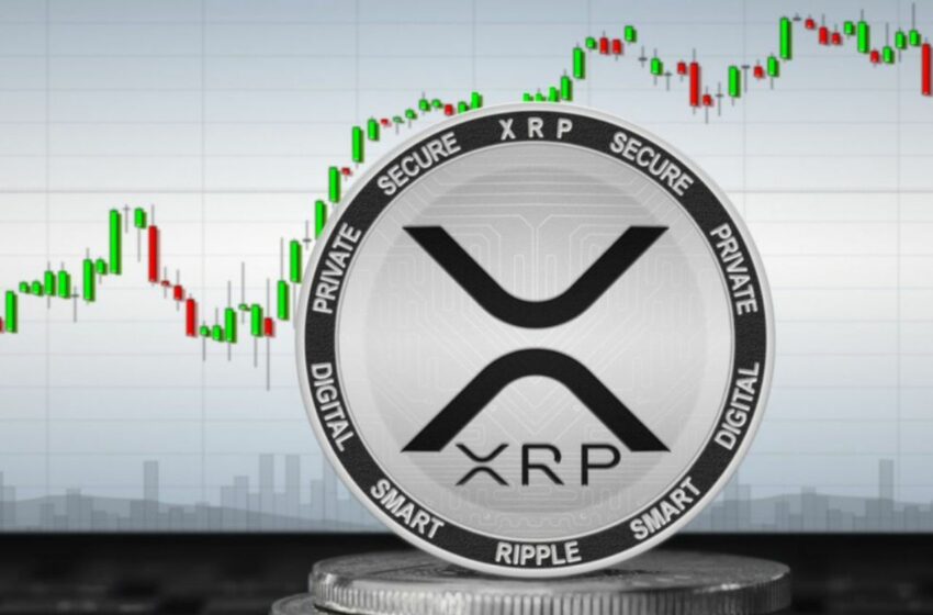 XRP Bitcoin