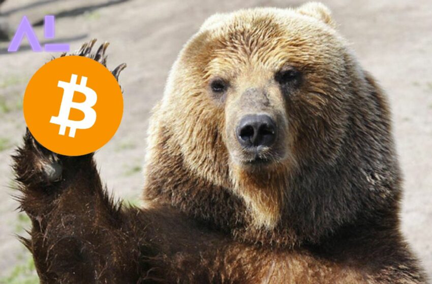  Crypto Strategist Warns Bitcoin Holders That BTC Giving Vibes of 2018 Bear Market Collapse