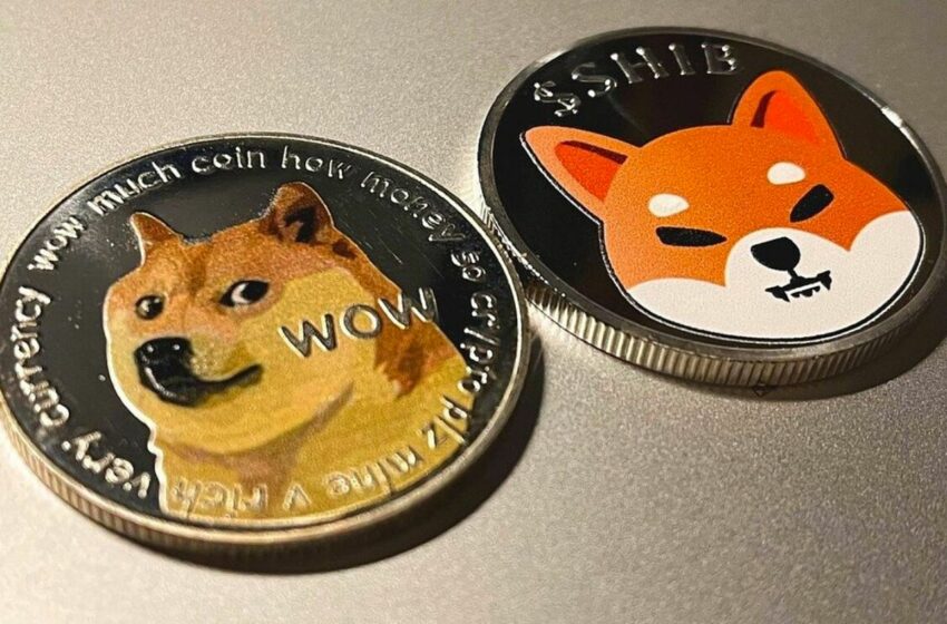 Crypto Dogecoin Shiba Inu
