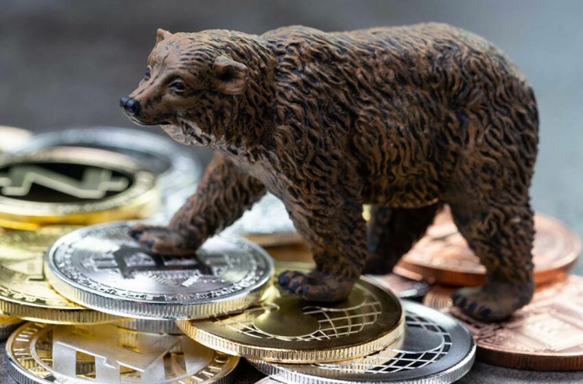 Crypto bear market