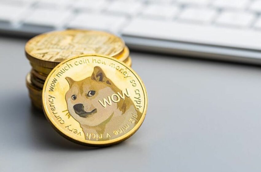 Dogecoin Price Up