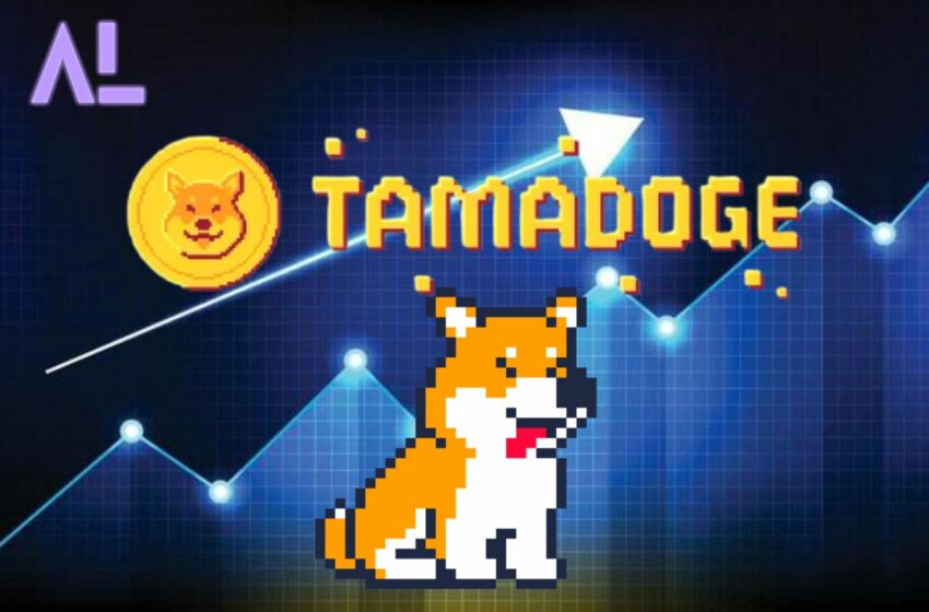 Tamadoge Rise