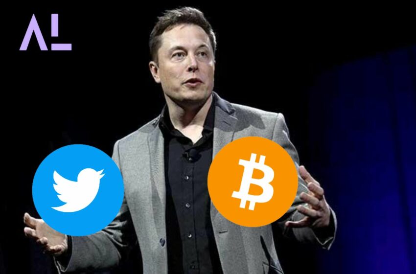 Elon Musk Crypto Twitter