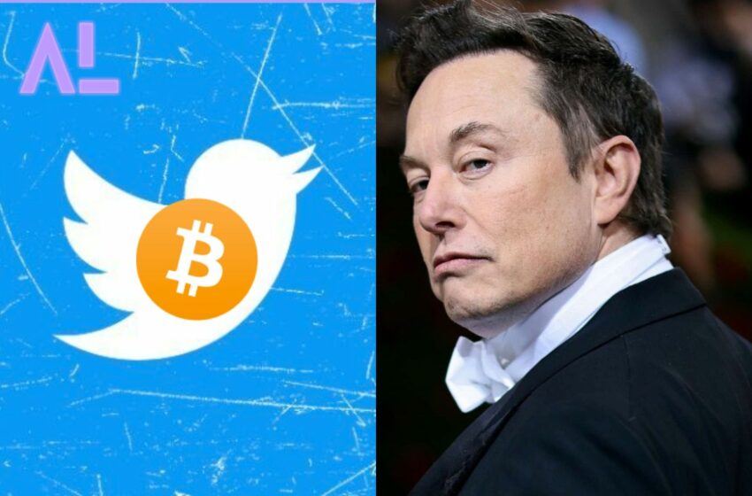 Elon Musk Twitter Crypto