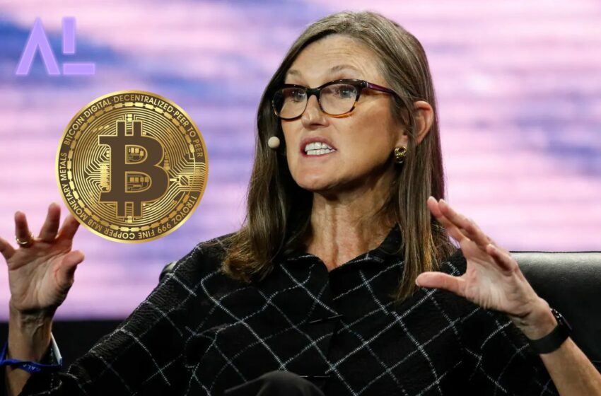 Cathie Wood Bitcoin 1M