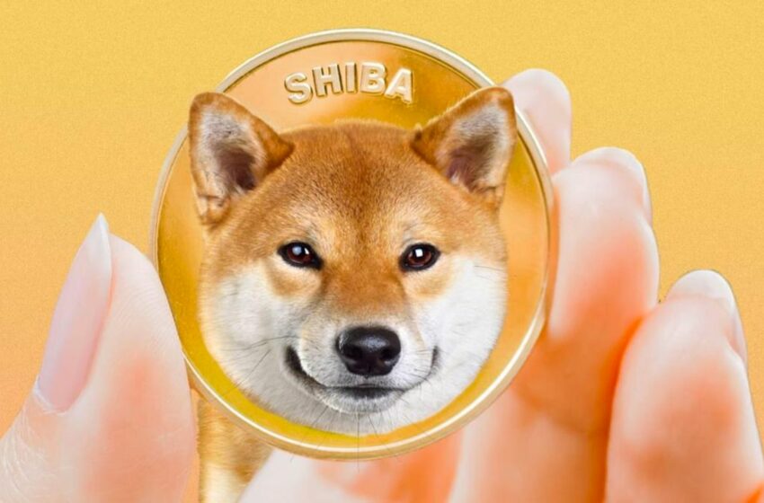  Shiba Inu Coin Soars By 60% The Past Month, Here’s Why!